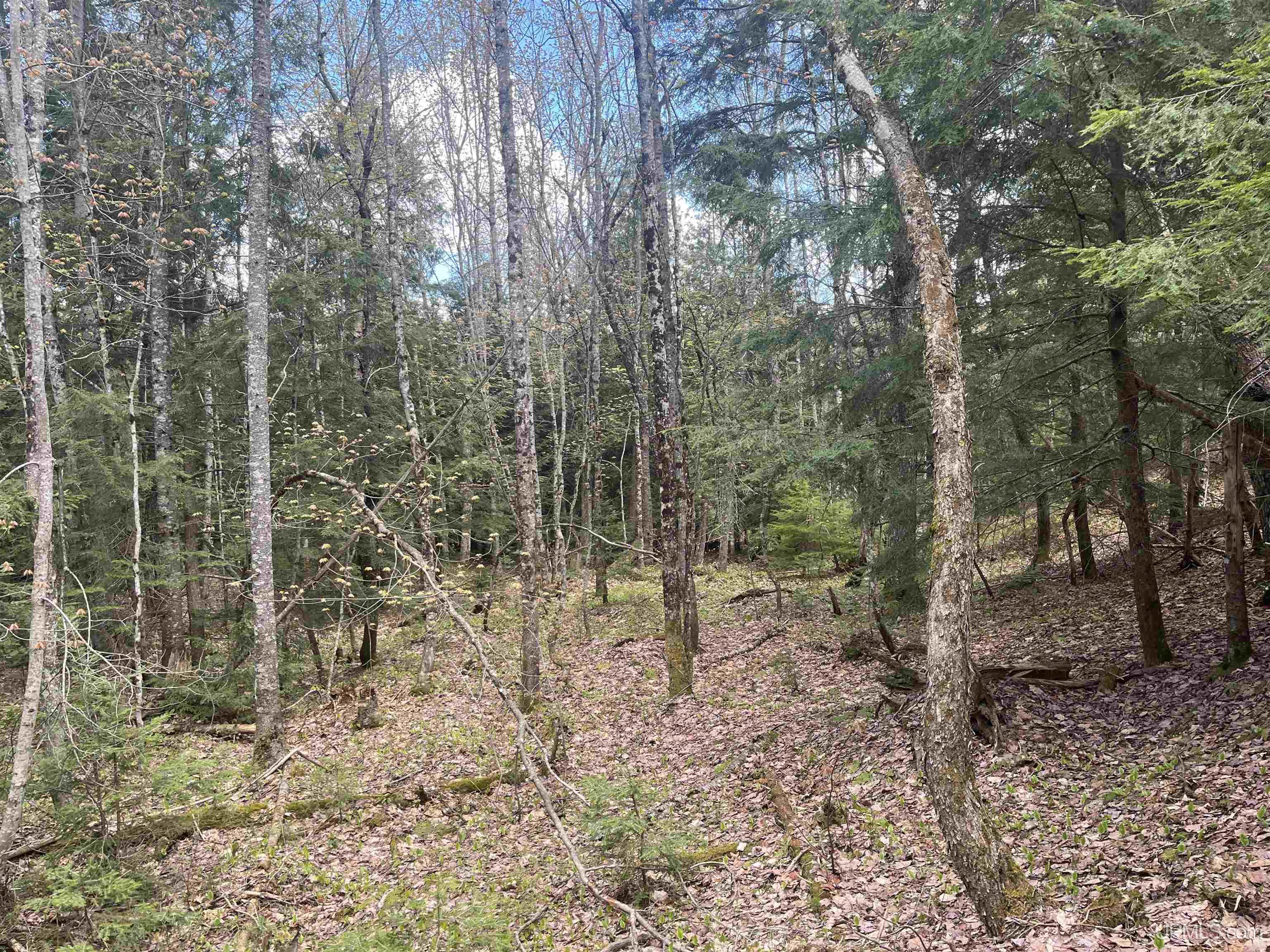 450 Rd Seney Mi 49883 Road Seney, MI 49883 - Photo 18 of 33