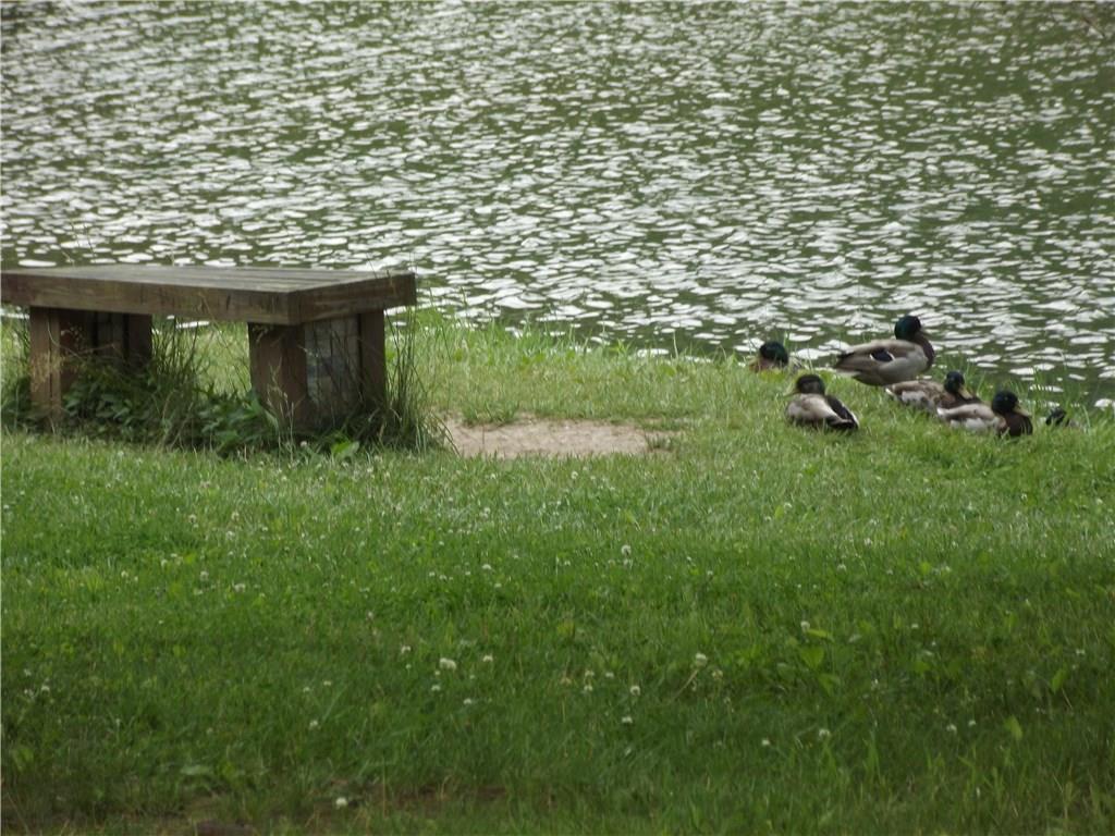 120 Lakeside Road Fox Chapel, PA 15238 - Photo 6 of 25 Gallery Image 6