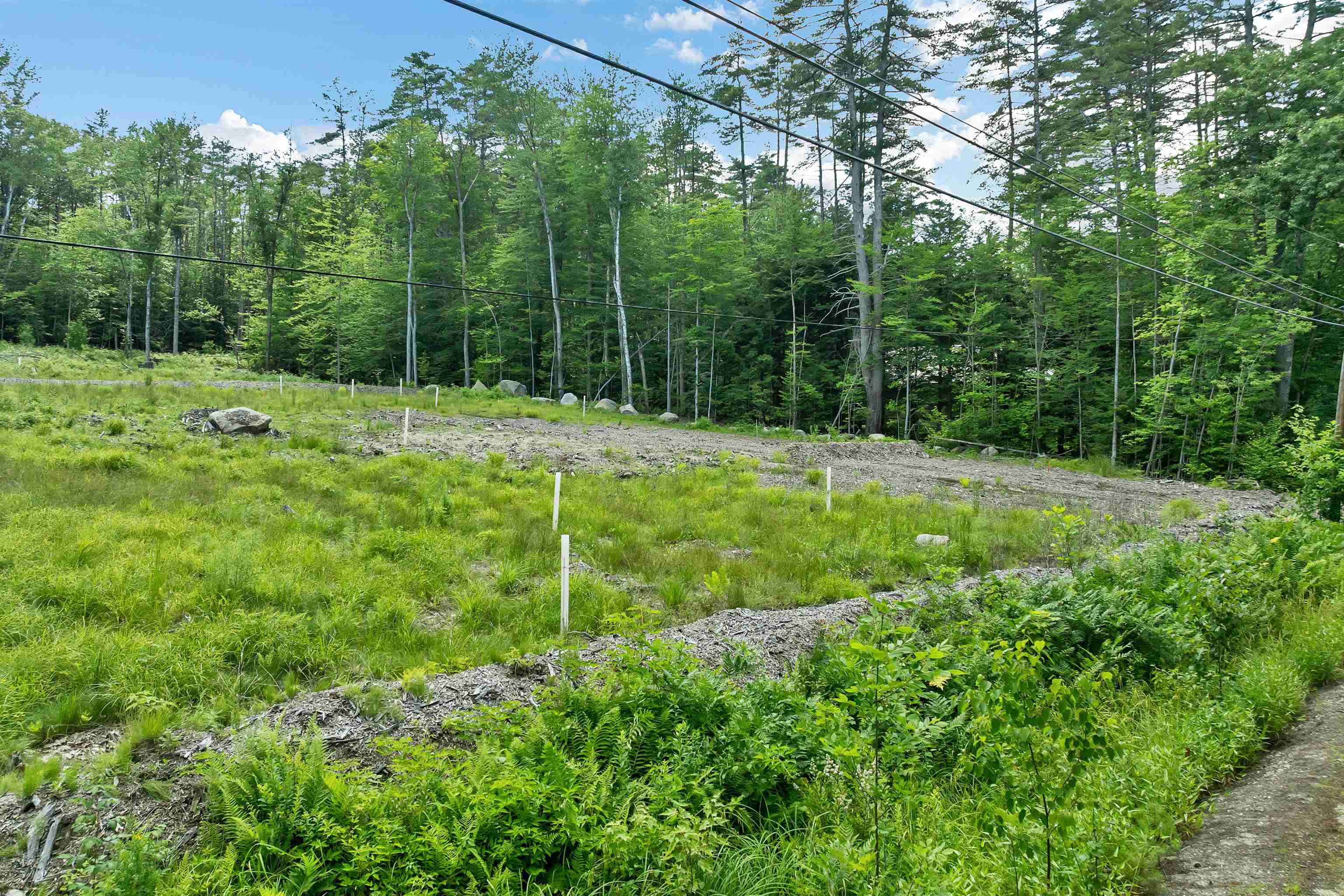 92 Winona Shores Road Meredith, NH 03253 - Photo 10 of 52