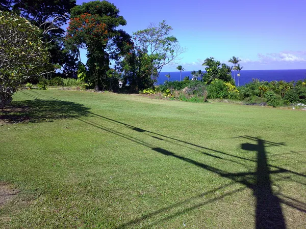a view of a garden