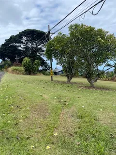 a view of a field