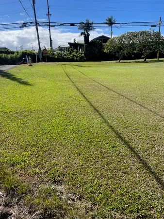 a view of a field with lawn chairs