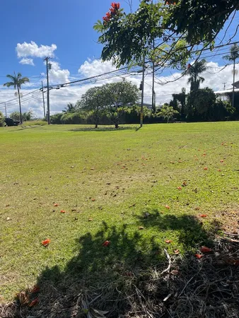a view of a pool with a yard