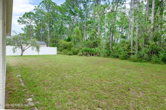 a view of a yard with plants and large trees