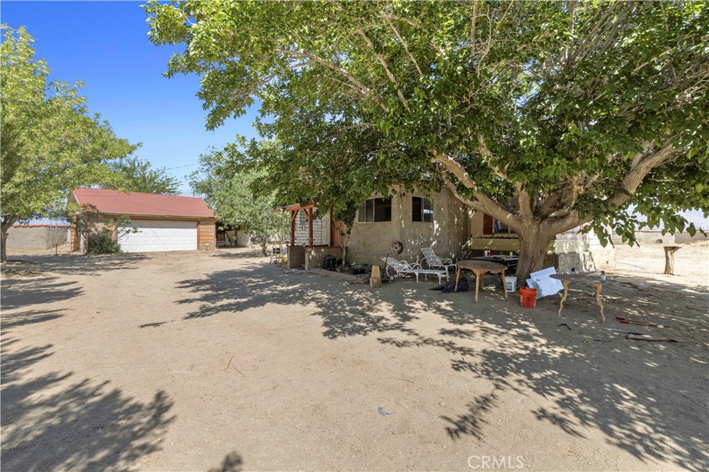 15374 Gaskell Road Rosamond, CA 93560 - Photo 17 of 74 a view of a tree in the middle of a yard