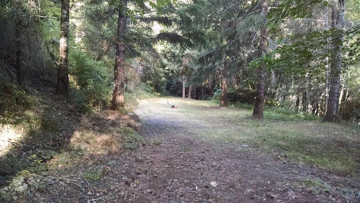 100 Moore Ranch Road Hoopa, CA 95546 - Photo 4 of 11