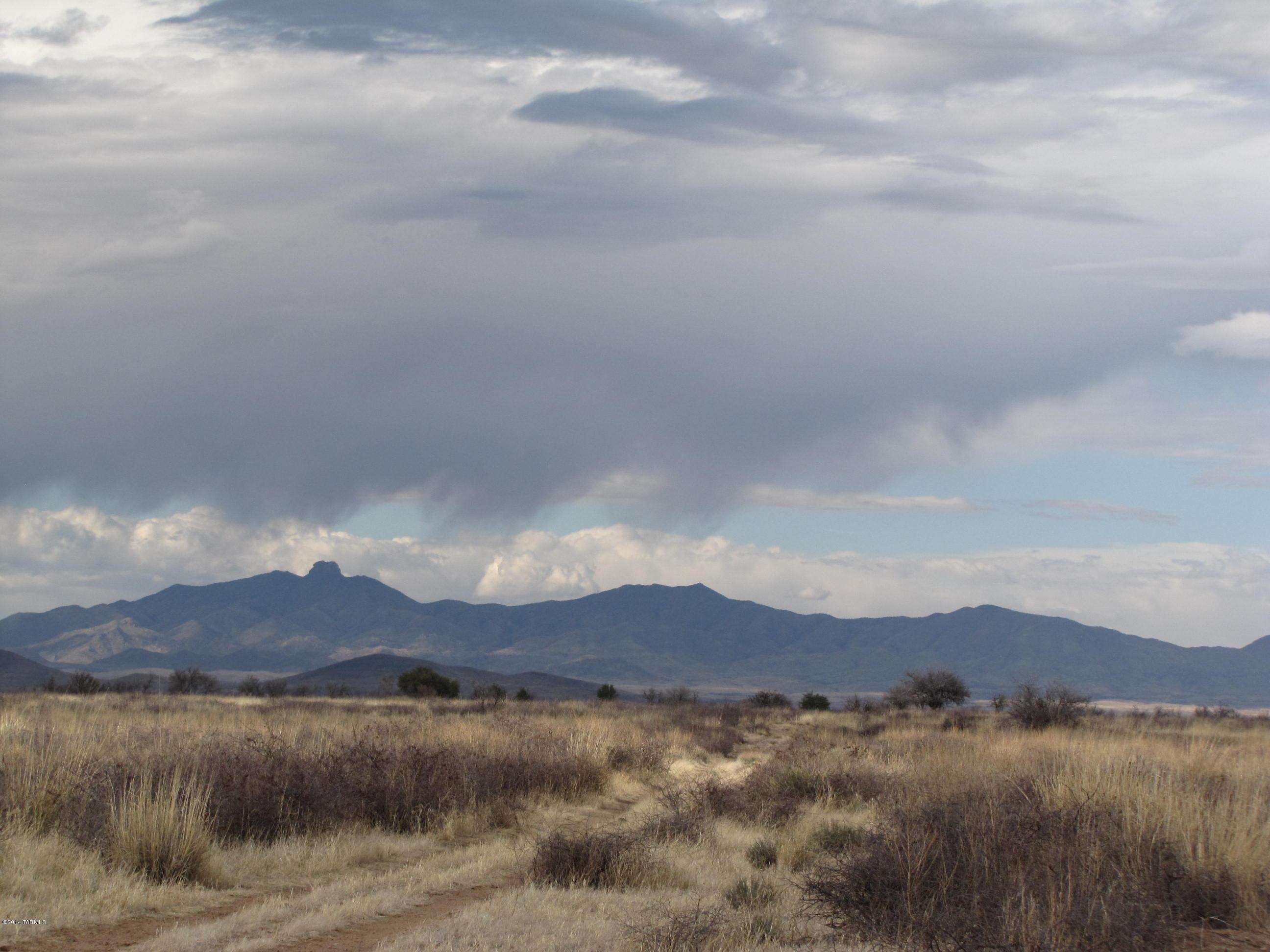 Off Catclaw Pearce, AZ 85625 - Photo 2 of 3