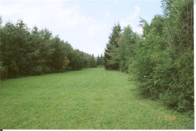 705 Beaver Dam Road Berne, NY 12059 - Photo 12 of 12 Photo 12