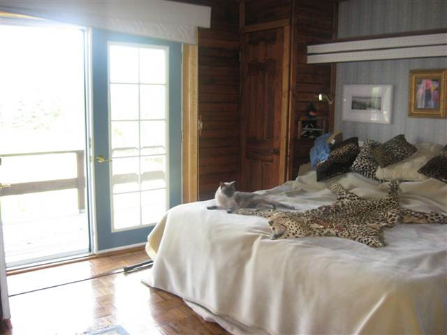 705 Beaver Dam Road Berne, NY 12059 - Photo 10 of 12 Photo 10