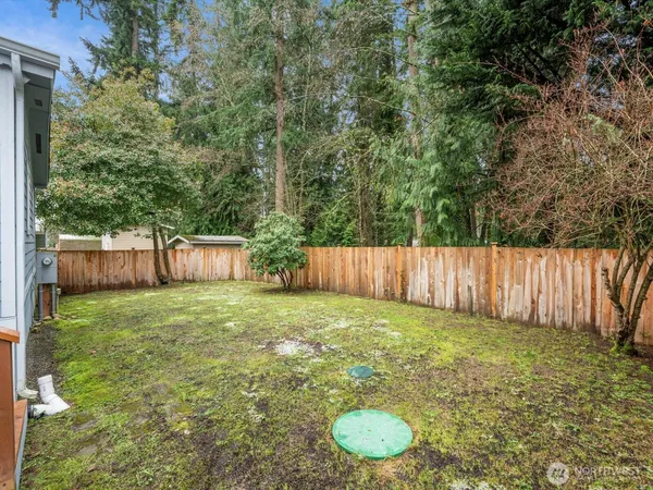 a view of a backyard with a trees and wooden fence
