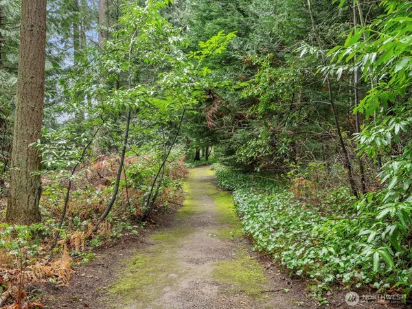 a backyard of a house with lots of green space and lake view