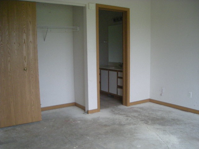 1736 Raleigh Trail Romeoville, IL 60446 - Photo 4 of 7 a view of an empty room and closet area
