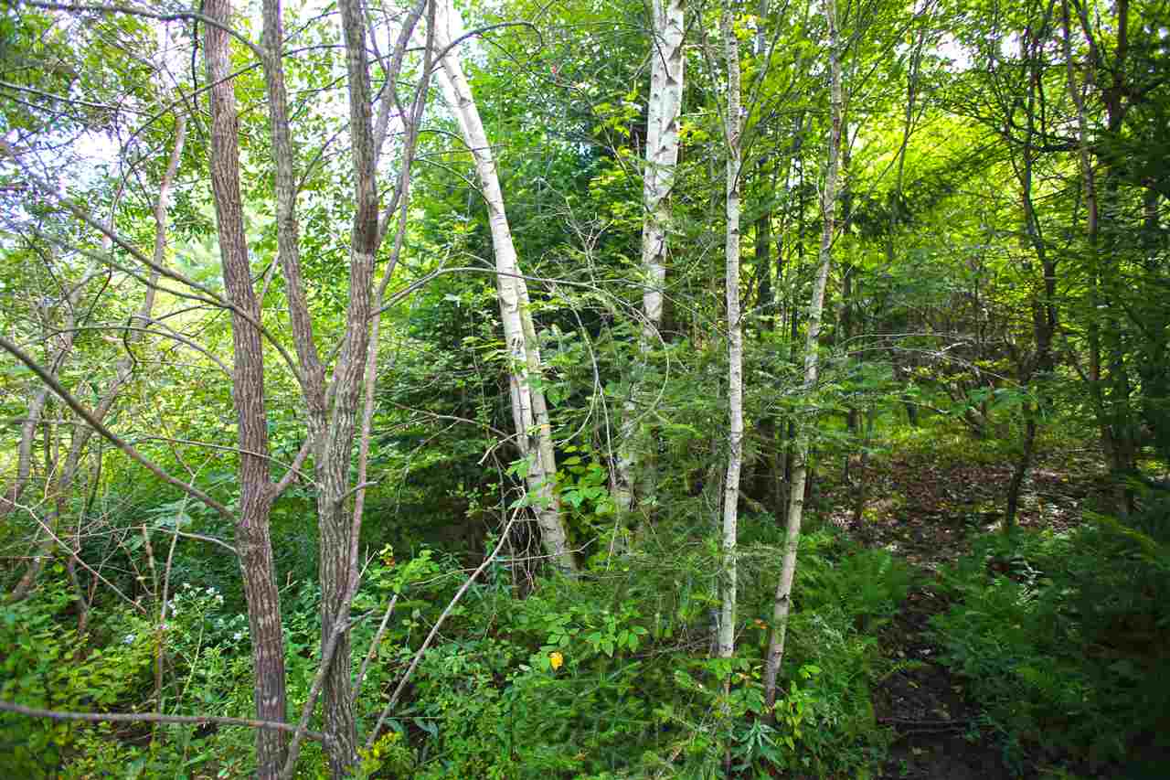 19 Burchard Road West Dover, VT 05356 - Photo 22 of 36