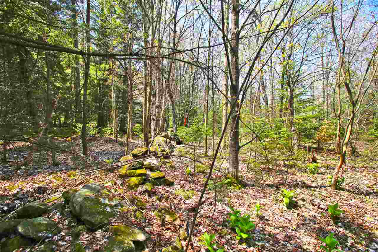 19 Burchard Road West Dover, VT 05356 - Photo 29 of 36