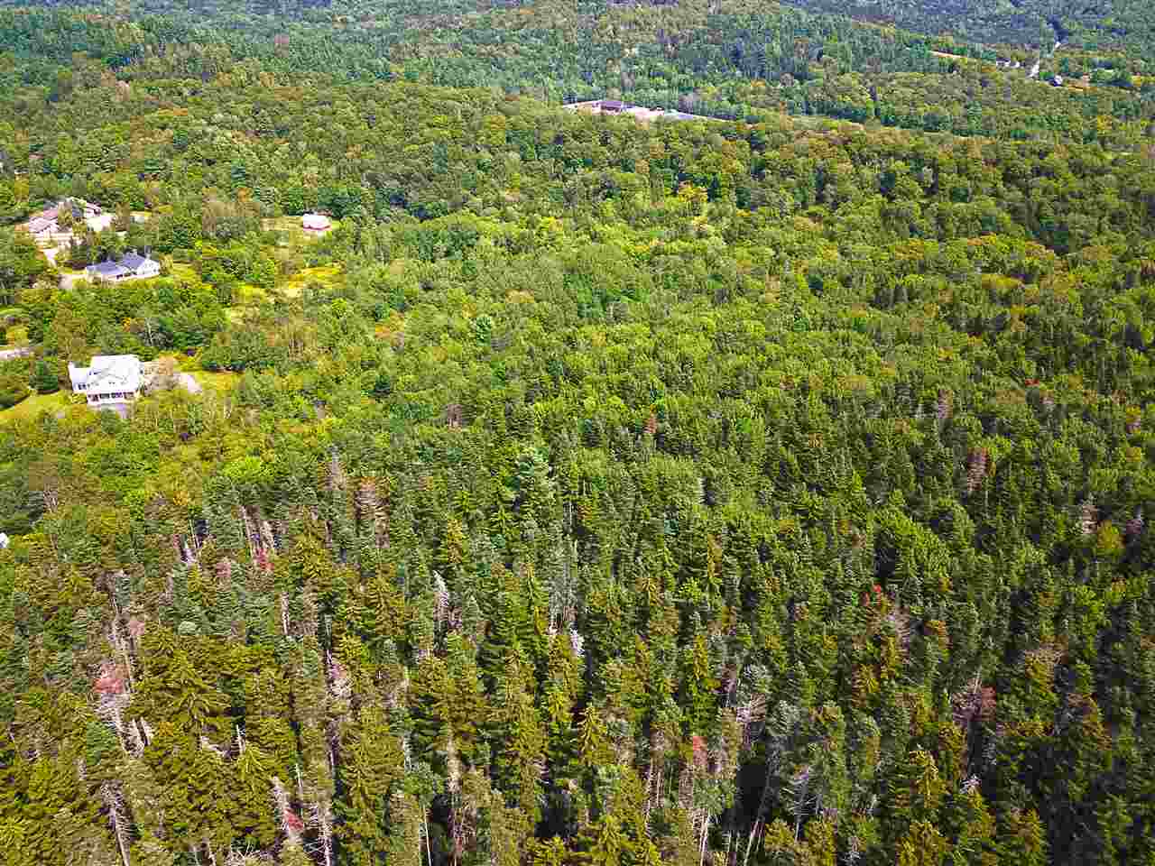 19 Burchard Road West Dover, VT 05356 - Photo 5 of 36