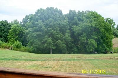 2011 Edgar Dillard Road Greenbrier, TN 37073 - Photo 17 of 17 NICE VIEW FROM DECK. YOU MAY EVEN SEE A DEER OR TWO FROM TIME TO TIME!