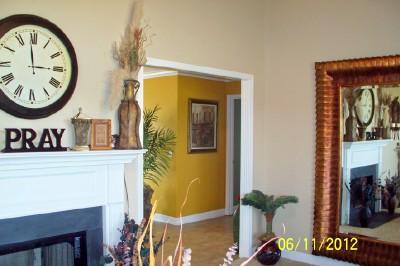 2011 Edgar Dillard Road Greenbrier, TN 37073 - Photo 5 of 17 DECORATOR COLORS THROUGHOUT! LIVING ROOM OPENS TO EAT IN KITCHEN!