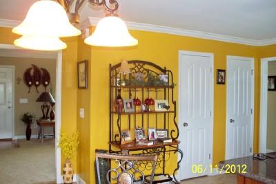 2011 Edgar Dillard Road Greenbrier, TN 37073 - Photo 8 of 17 DOUBLE PANTRYS! LOTS OF STORAGE!