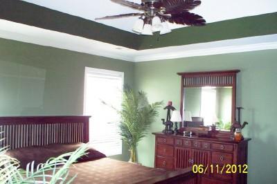 2011 Edgar Dillard Road Greenbrier, TN 37073 - Photo 9 of 17 MASTER BEDROOM HAS TREY CEILING WITH A DESIGNERS TOUCH! NOTICE THE COLORS!