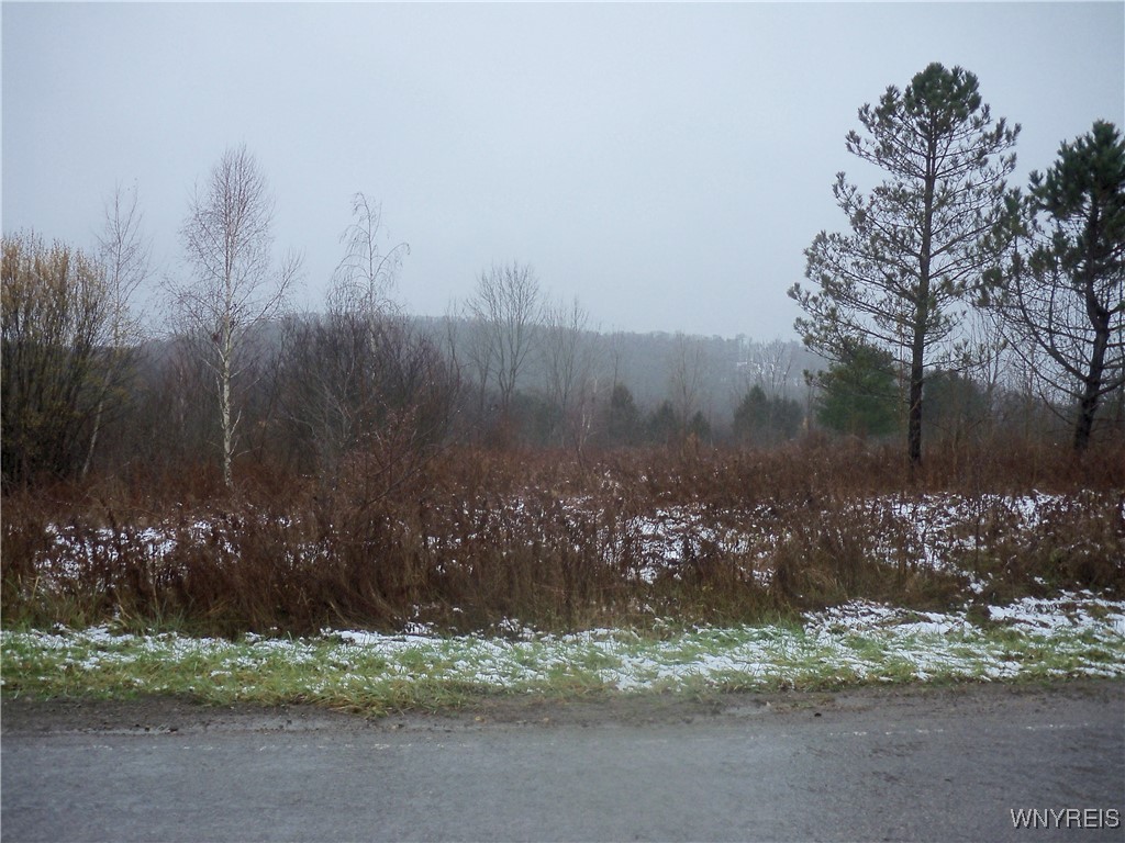 Hardy Crn Road Franklinville, NY 14737 - Photo 2 of 4