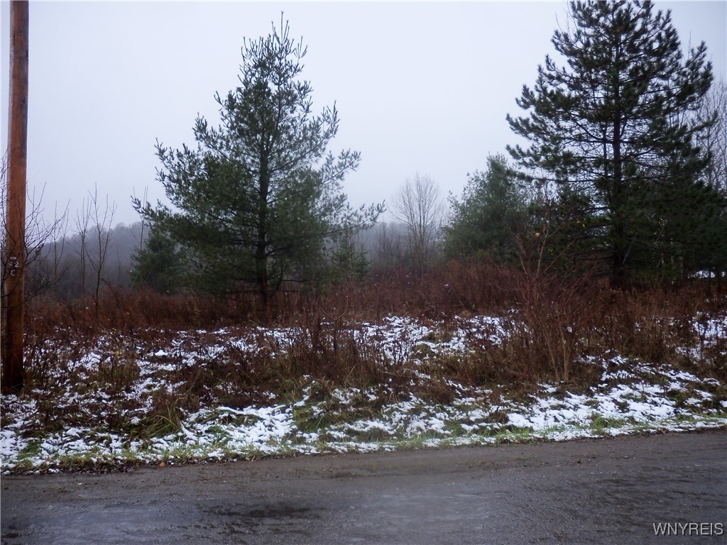 Hardy Crn Road Franklinville, NY 14737 - Photo 3 of 4