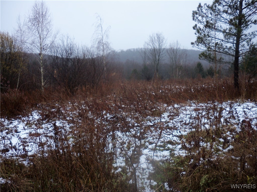 Hardy Crn Road Franklinville, NY 14737 - Photo 4 of 4