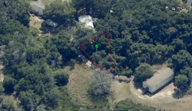 a view of a tree in a yard