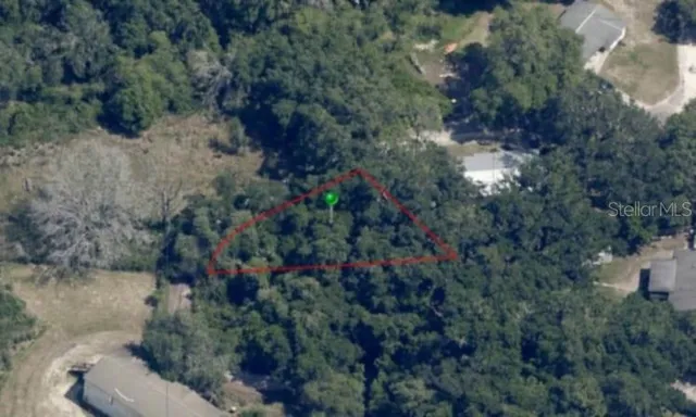 a view of banana tree