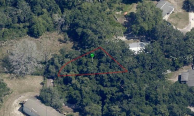 63 North Sheltering Oaks Drive Inverness, FL 34453 - Photo 20 of 22 a view of a lot of trees and bushes