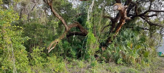 $6,500 | 63 North Sheltering Oaks Drive, Inverness, FL 34453