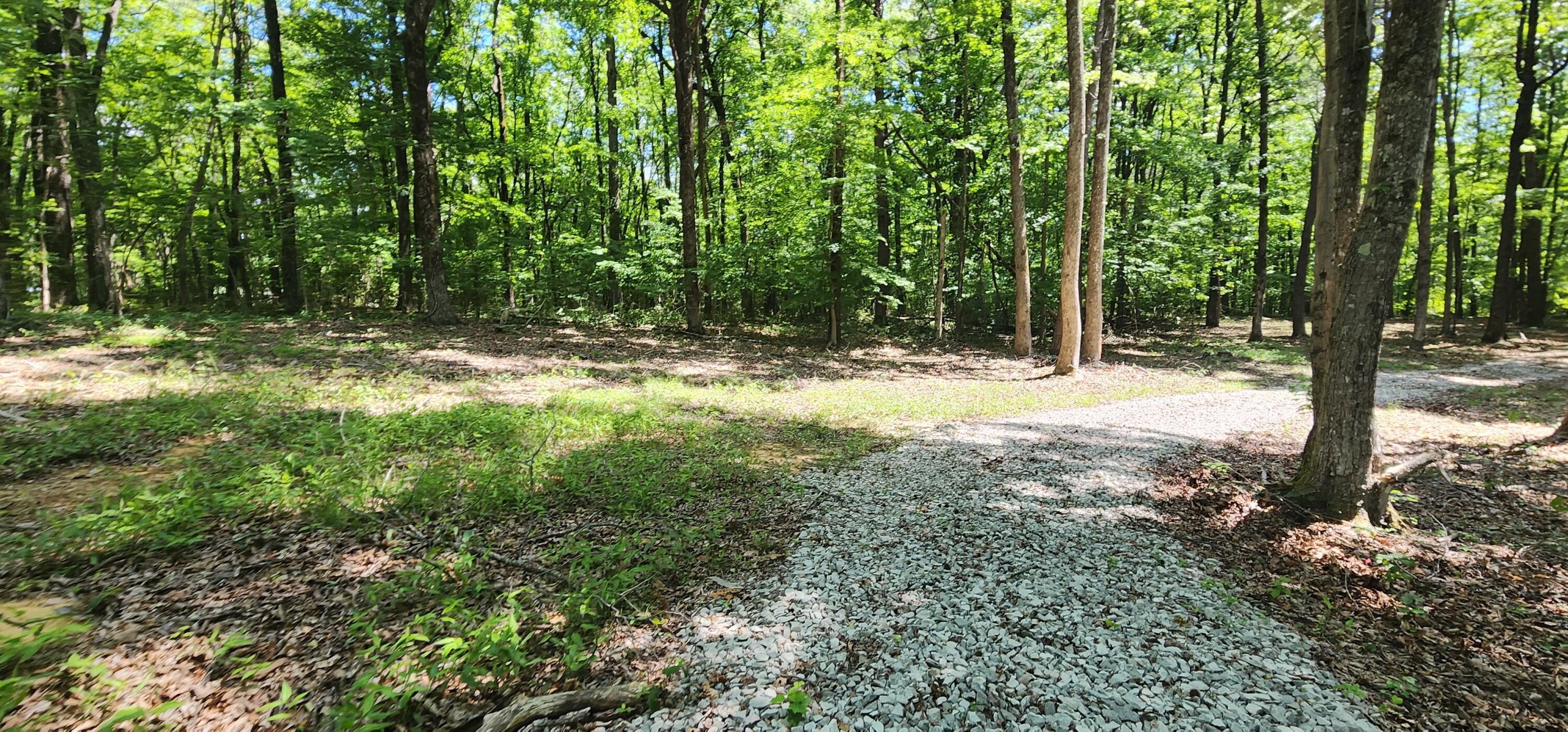 0 Roth Point Road, Unit 5 Altamont, TN 37301 - Photo 43 of 53 1000052083