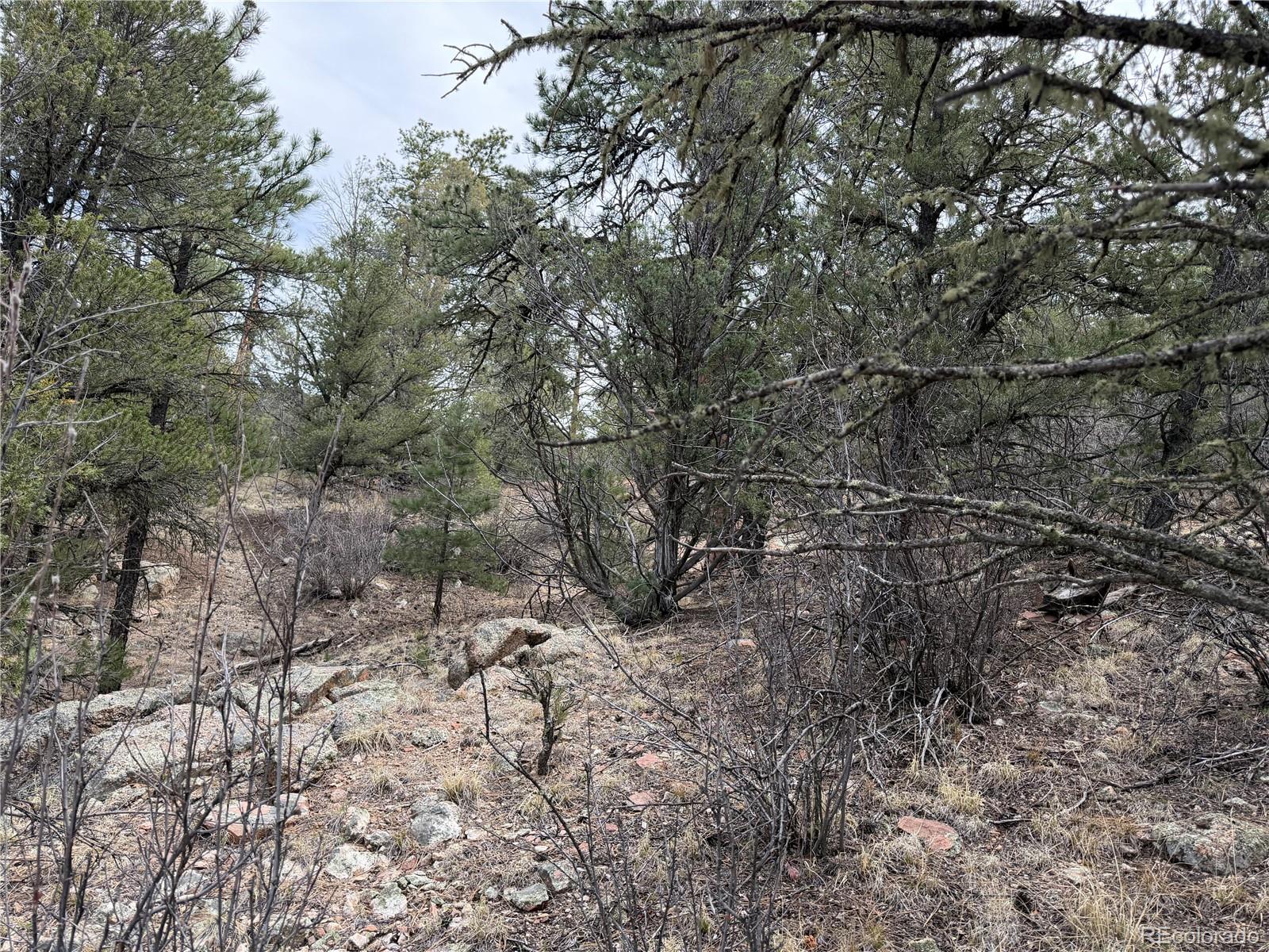 672 Coyote Run Road Cotopaxi, CO 81223 - Photo 23 of 26