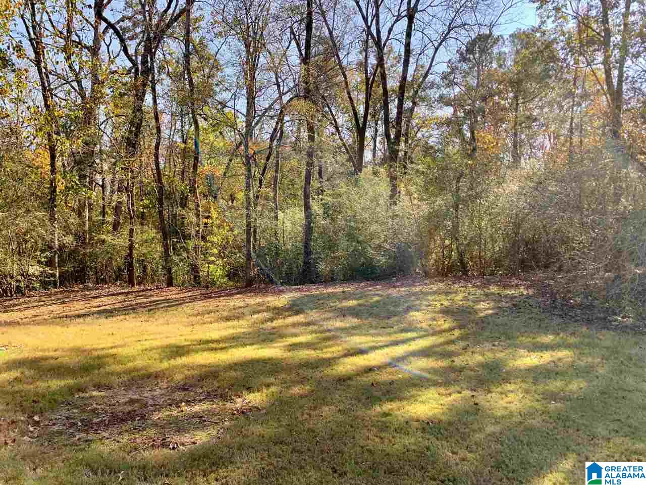 209 Lacey Avenue Alabaster, AL 35114 - Photo 17 of 20