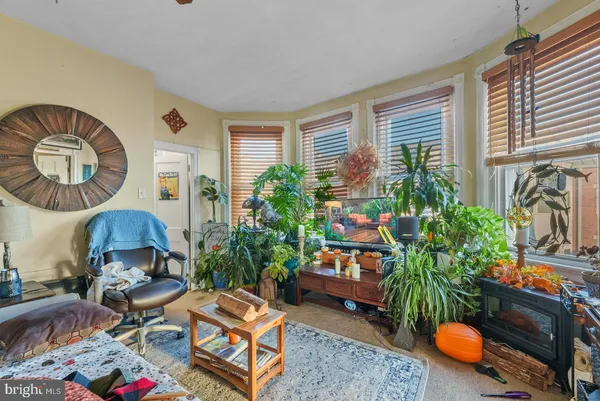 a living room filled with furniture and a potted plant