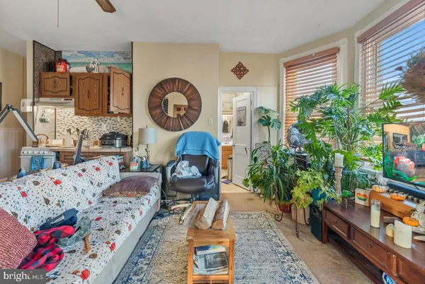 a living room with furniture and a potted plant