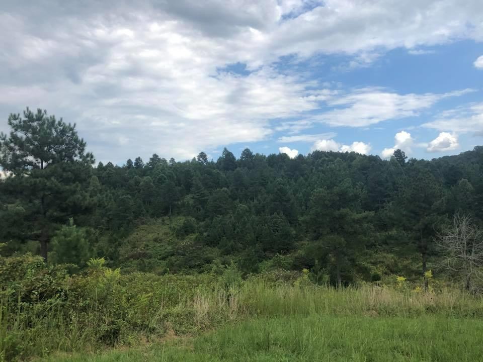 0 South Ridge Line Road Decatur, TN 37322 - Photo 1 of 1 a view of a city and lush green forest