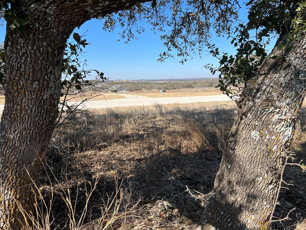 111 Axis Circle, Unit 111 Fredericksburg, TX 78624 - Photo 2 of 11