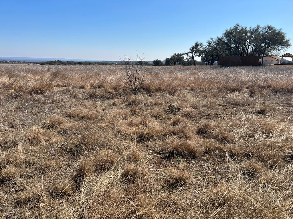 111 Axis Circle, Unit 111 Fredericksburg, TX 78624 - Photo 3 of 11