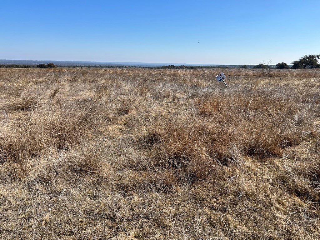 111 Axis Circle, Unit 111 Fredericksburg, TX 78624 - Photo 4 of 11