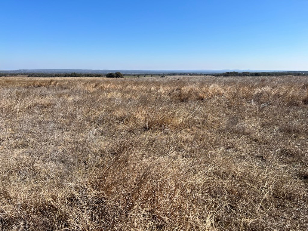 111 Axis Circle, Unit 111 Fredericksburg, TX 78624 - Photo 7 of 11