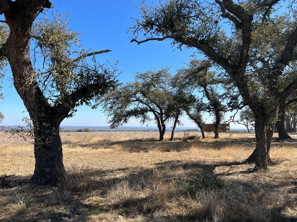 111 Axis Circle, Unit 111 Fredericksburg, TX 78624 - Photo 8 of 11