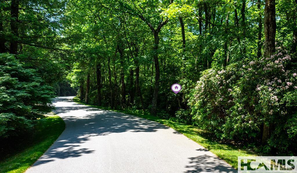 Lot 8 Ravenel Ridge Highlands, NC 28741 - Photo 4 of 21 Gallery Image 4