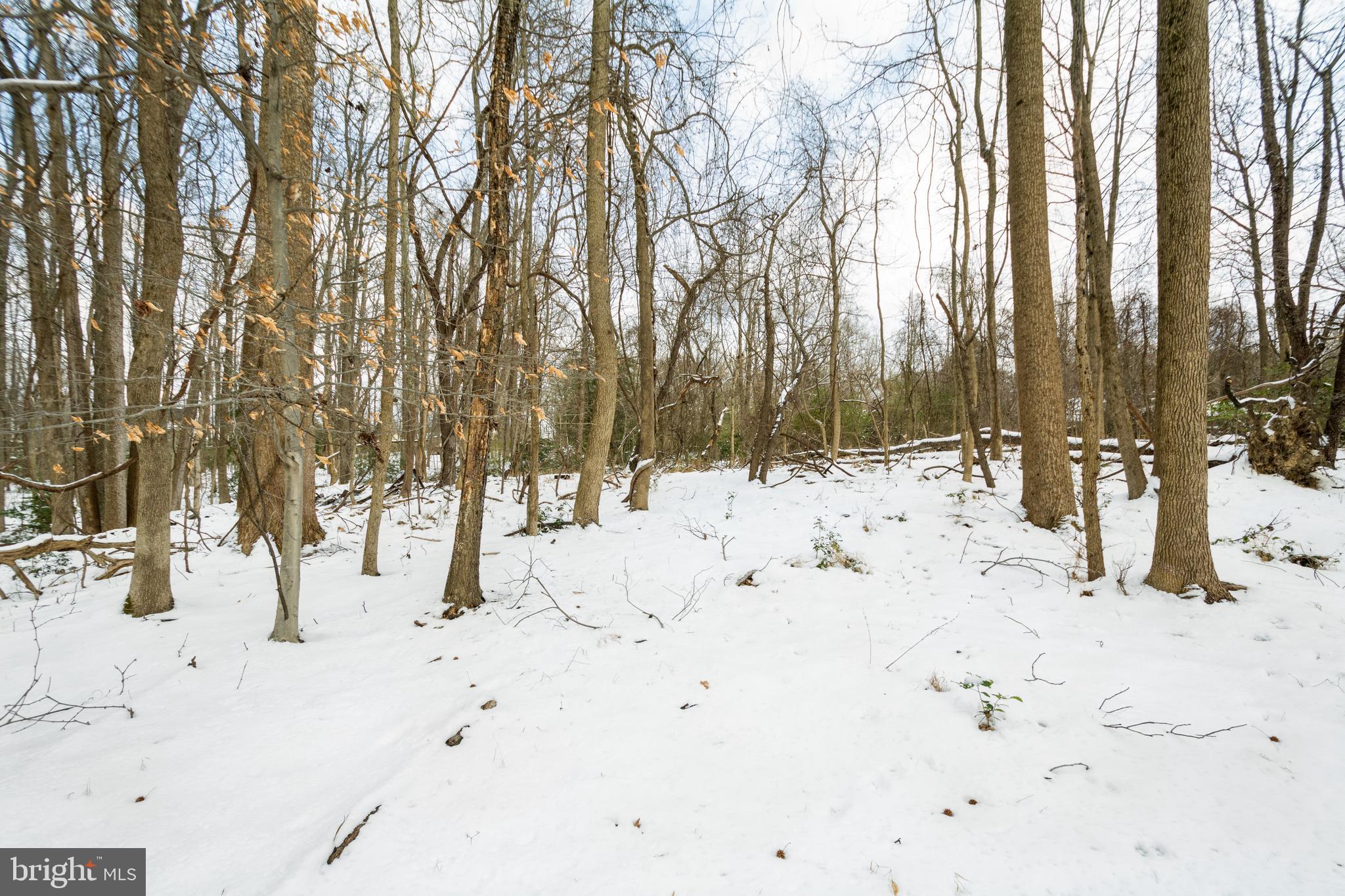 9419 Dangerfield Road Clinton, MD 20735 - Photo 22 of 30 Gallery Image 22