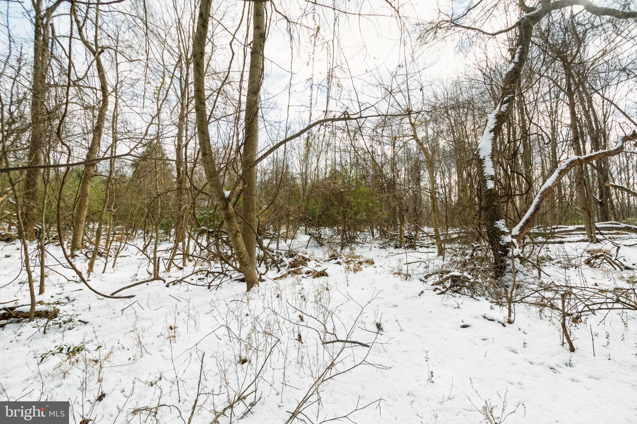 9419 Dangerfield Road Clinton, MD 20735 - Photo 23 of 30 Gallery Image 23