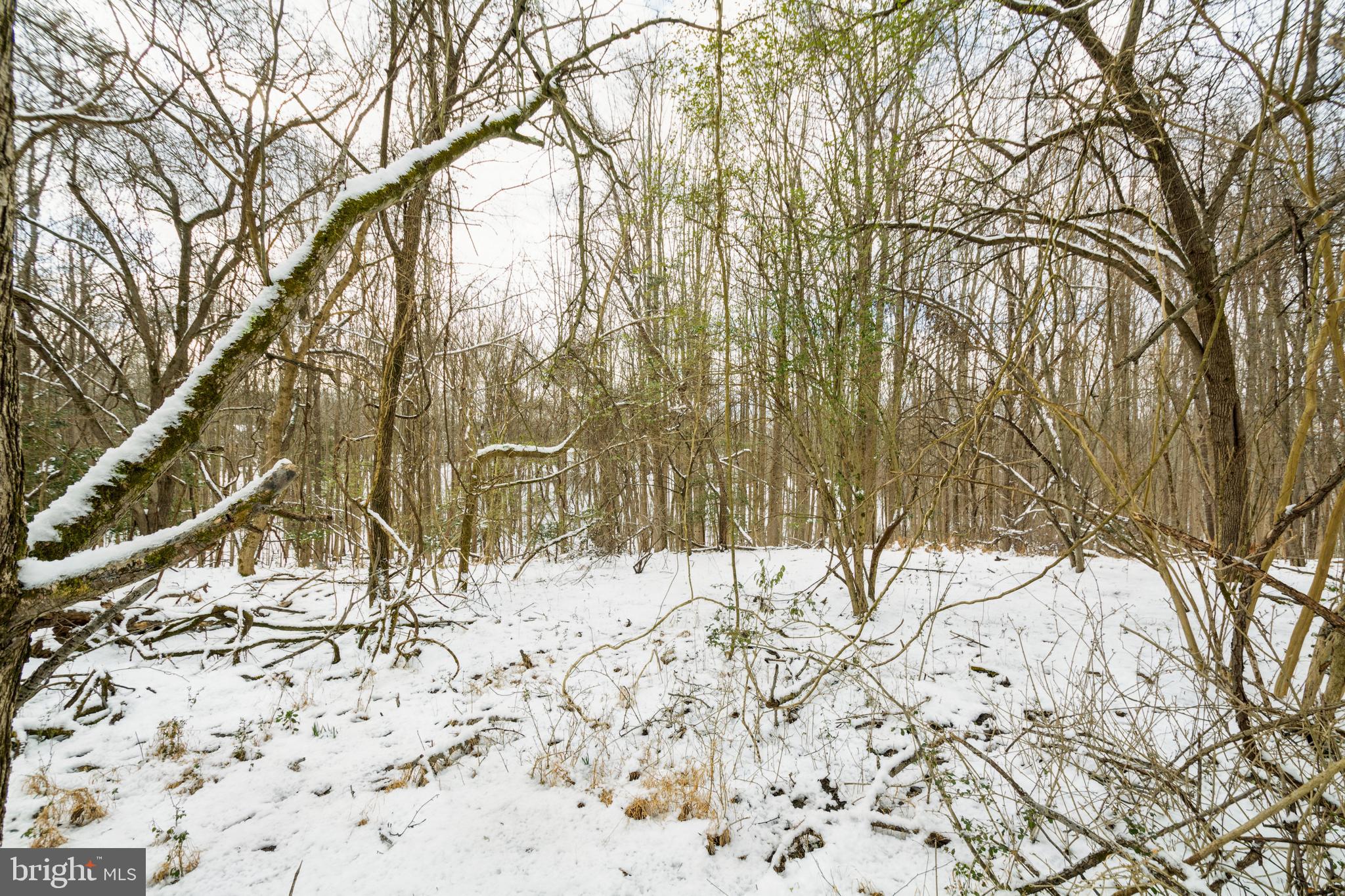 9419 Dangerfield Road Clinton, MD 20735 - Photo 4 of 30 Gallery Image 4