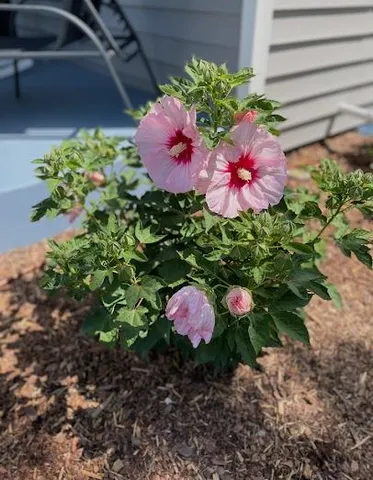 $564,900 | 237 Royal Ridge Drive, Oconomowoc, WI 53066