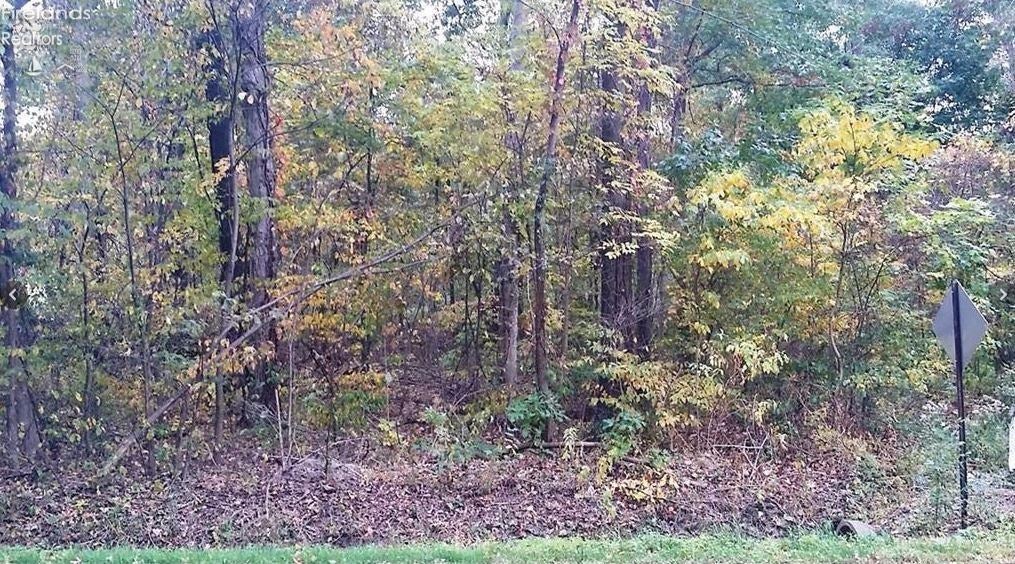 0 Thompson Road Vermilion, OH 44089 - Photo 3 of 3 Gallery Image 3