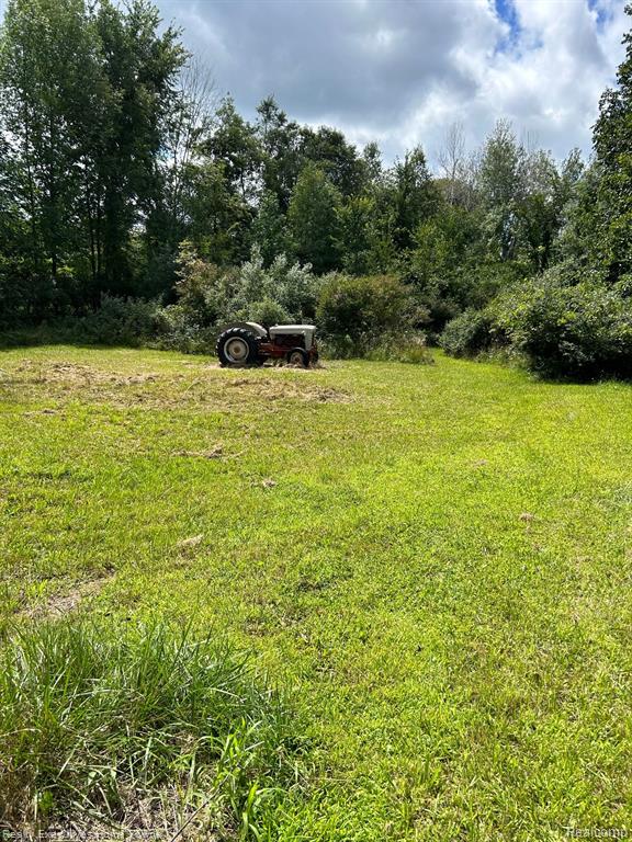 7740 Brockway Road Melvin, MI 48454 - Photo 5 of 5
