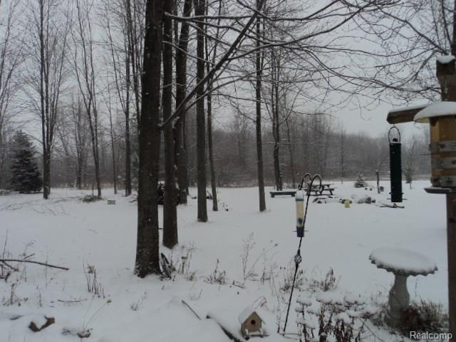 9080 Rattle Run Road Columbus, MI 48063 - Photo 14 of 21 9080 RATTLE RUN 022.JPG