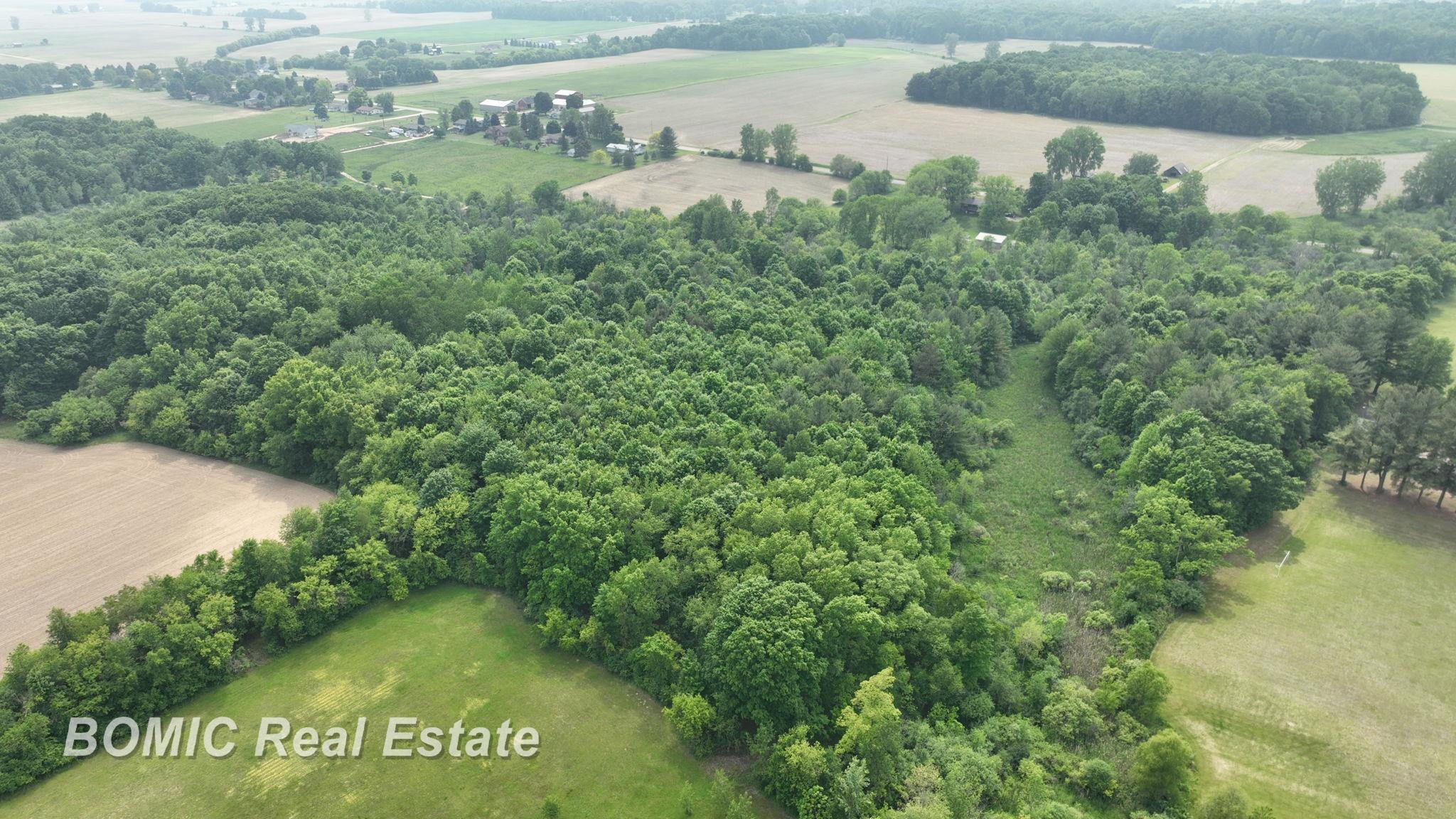 Vl Fulmer Road Millington, MI 48746 - Photo 9 of 13